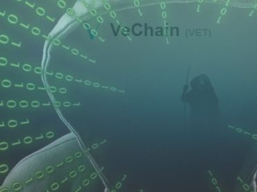 Взлом VeChain: потеря $ 6,4 млн., в результате взлома кошелька