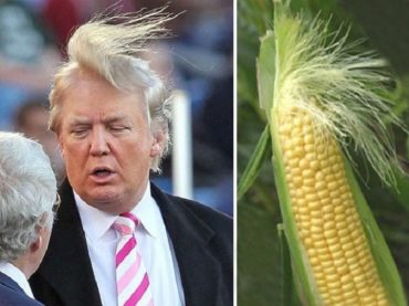 А вдруг Трамп все-таки победит?